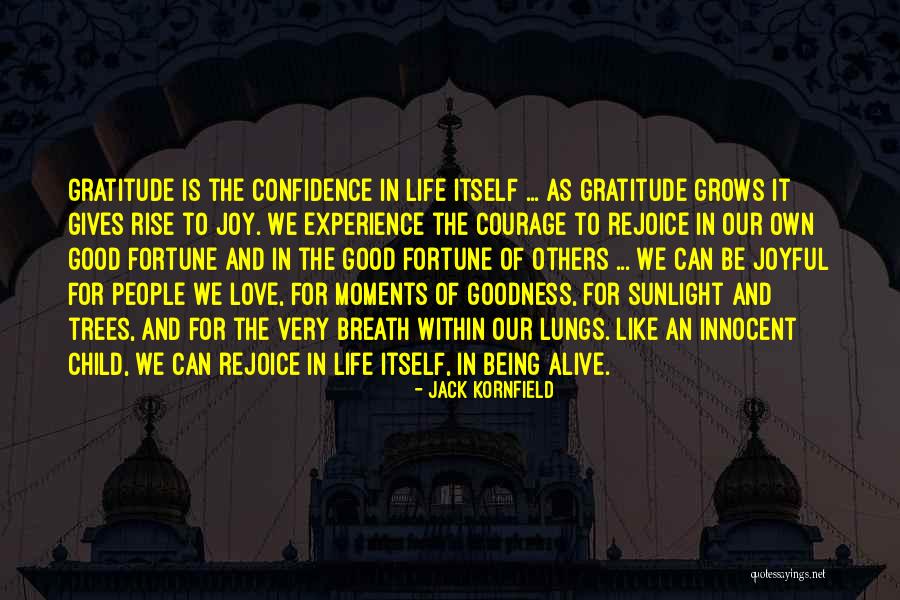 Knightwood Quotes By Jack Kornfield Knightwood Quotes By Jack Kornfield