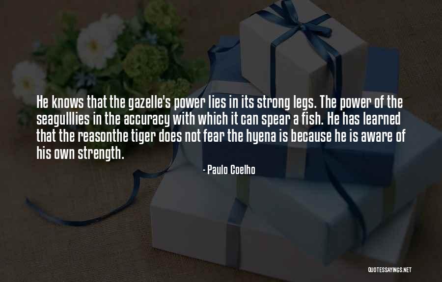 Kniha Harry Quotes By Paulo Coelho Kniha Harry Quotes By Paulo Coelho