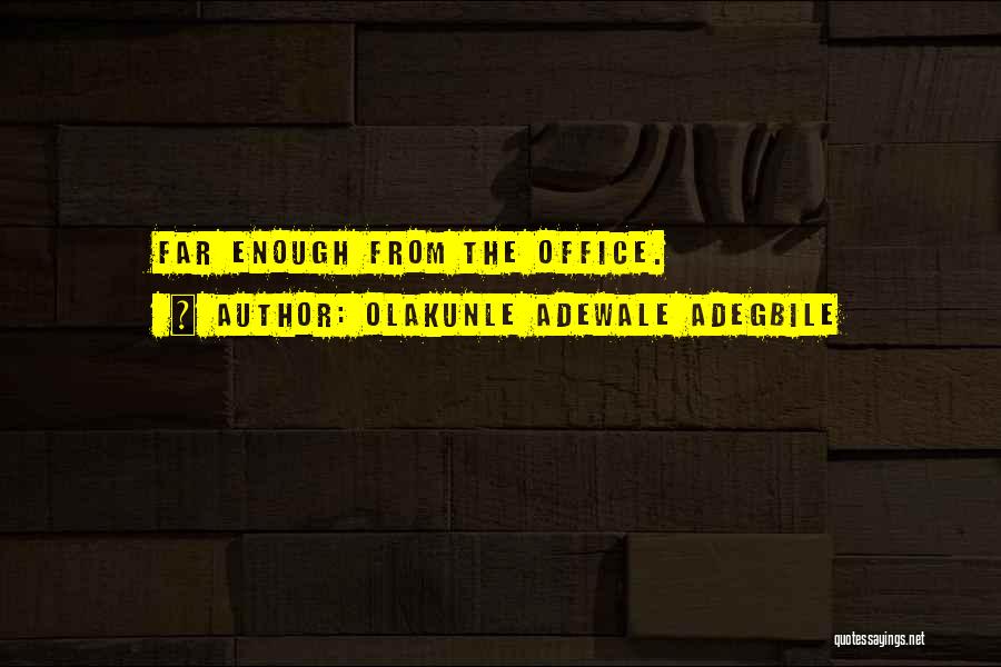 Knikanik Quotes By Olakunle Adewale Adegbile