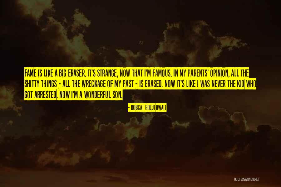 Knike Quotes By Bobcat Goldthwait Knike Quotes By Bobcat Goldthwait