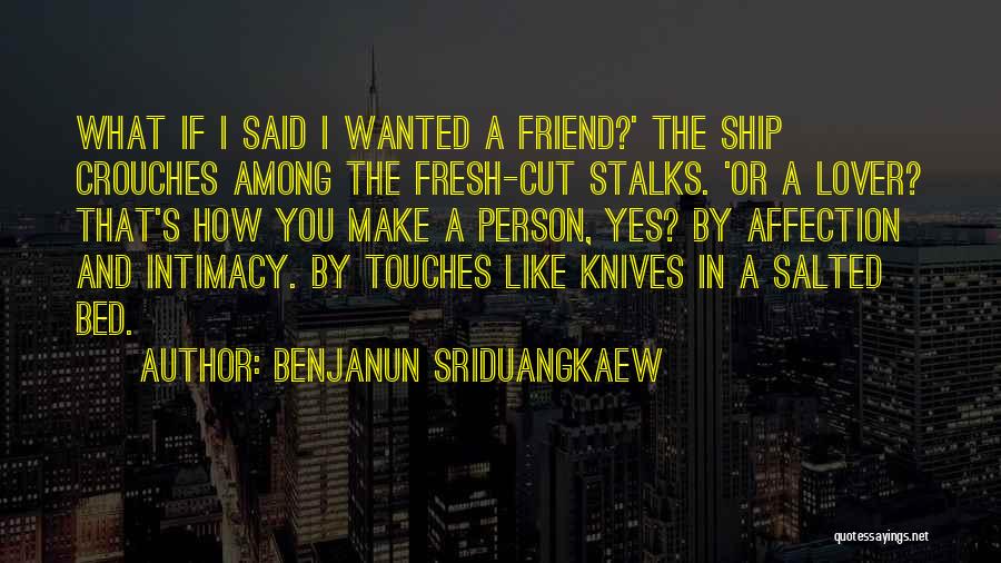 Knives And Love Quotes By Benjanun Sriduangkaew