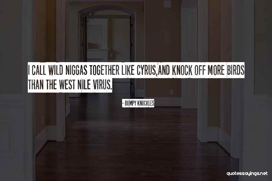 Knock Off Quotes By Bumpy Knuckles Knock Off Quotes By Bumpy Knuckles
