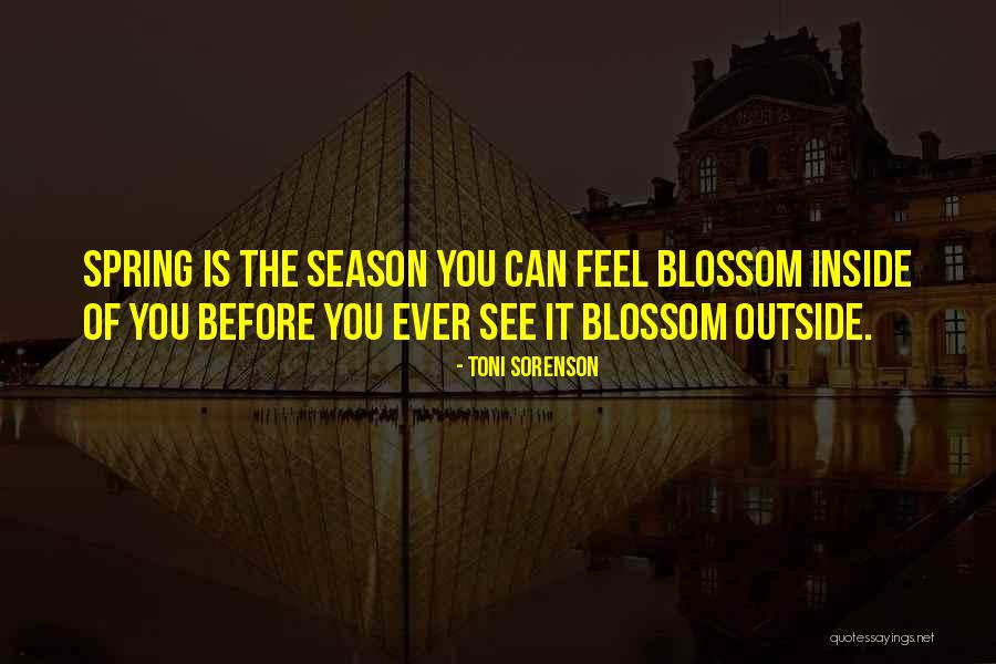 Knockabout Guys Quotes By Toni Sorenson Knockabout Guys Quotes By Toni Sorenson
