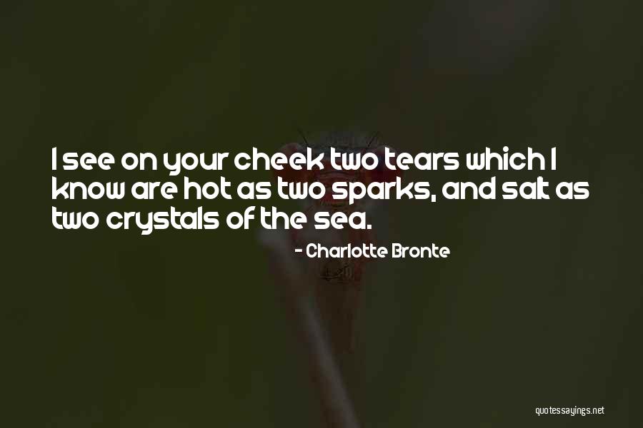 Knockback Clutch Quotes By Charlotte Bronte Knockback Clutch Quotes By Charlotte Bronte