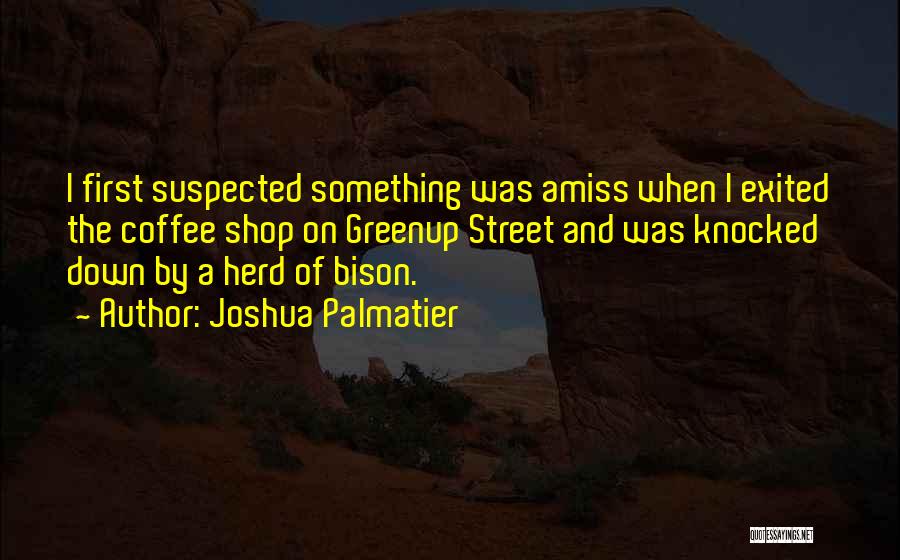 Knocked Down But Not Out Quotes By Joshua Palmatier