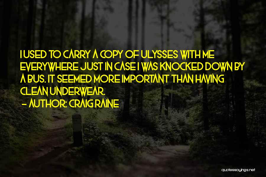 Knocked Down Quotes By Craig Raine