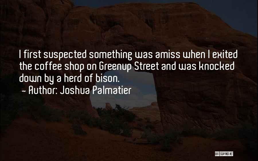 Knocked Down Quotes By Joshua Palmatier