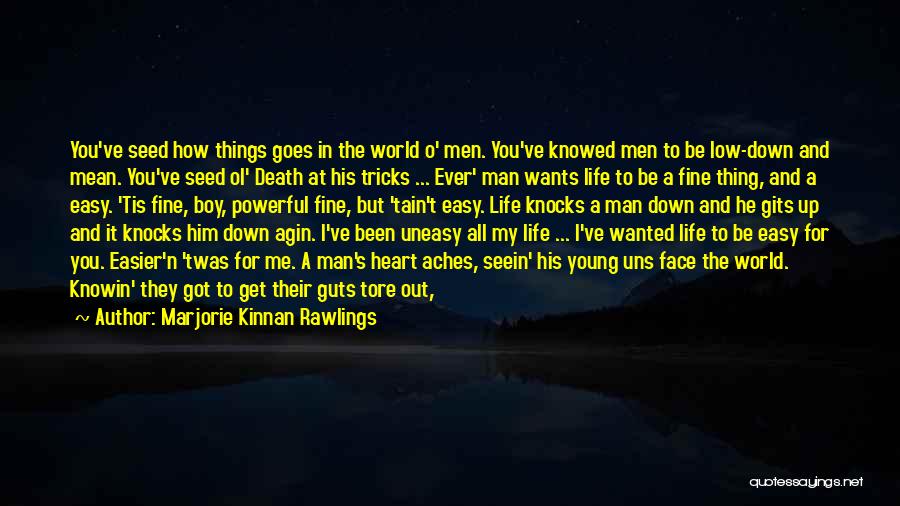 Knocked Down Quotes By Marjorie Kinnan Rawlings