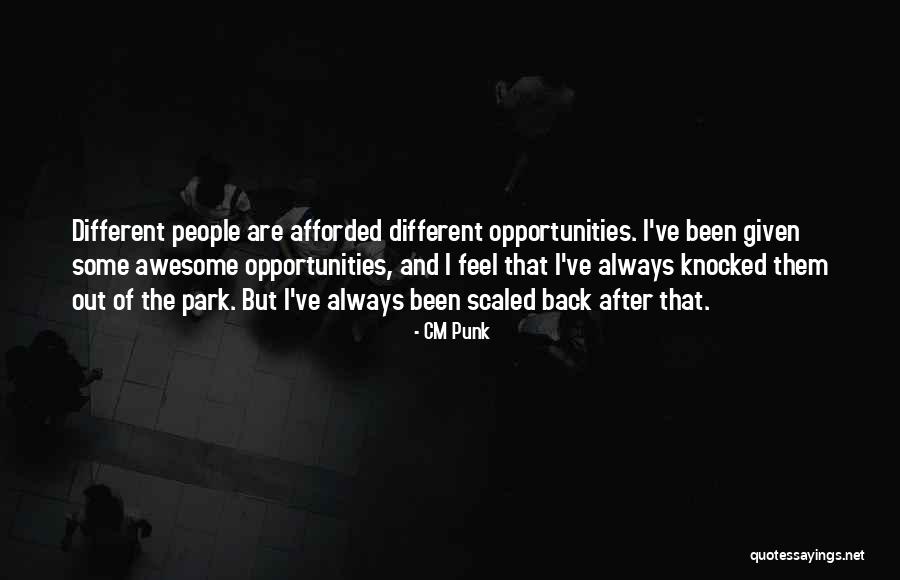 Knocked Out Of The Park Quotes By CM Punk Knocked Out Of The Park Quotes By CM Punk