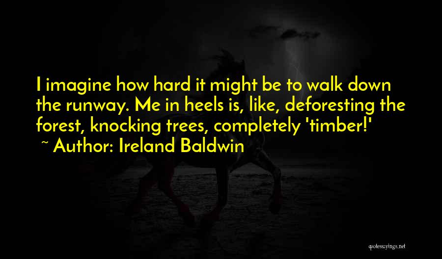 Knocking Others Down Quotes By Ireland Baldwin