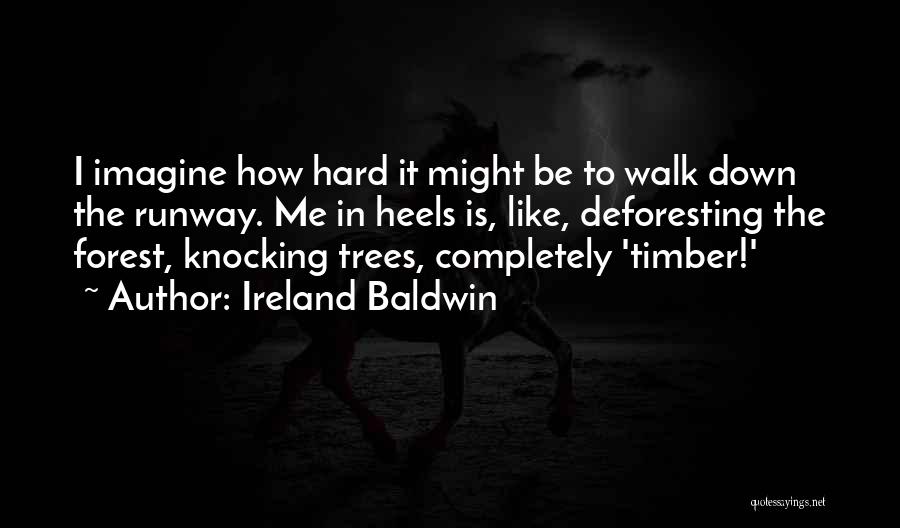 Knocking Quotes By Ireland Baldwin
