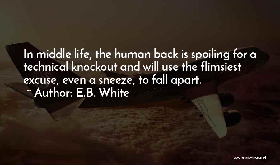 Knockout Quotes By E.B. White