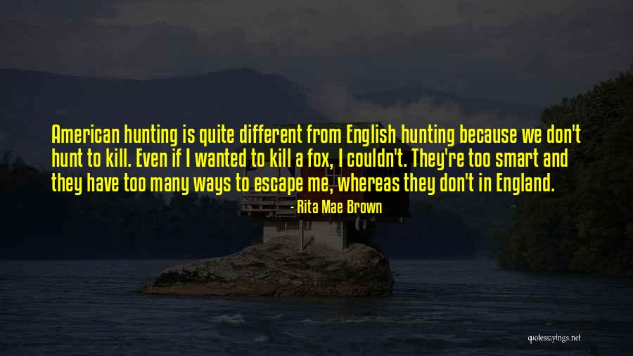 Knoledge Darkness Quotes By Rita Mae Brown Knoledge Darkness Quotes By Rita Mae Brown