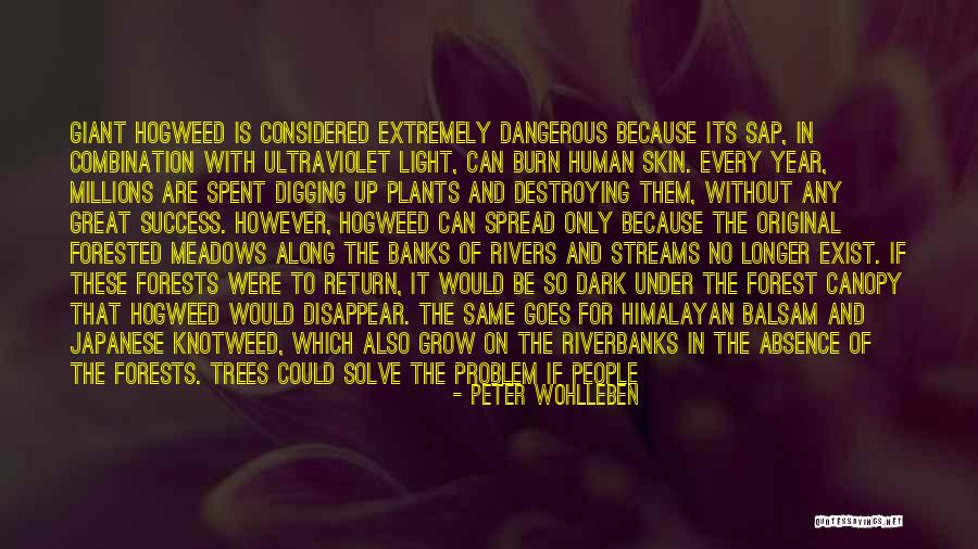 Knotweed Quotes By Peter Wohlleben Knotweed Quotes By Peter Wohlleben