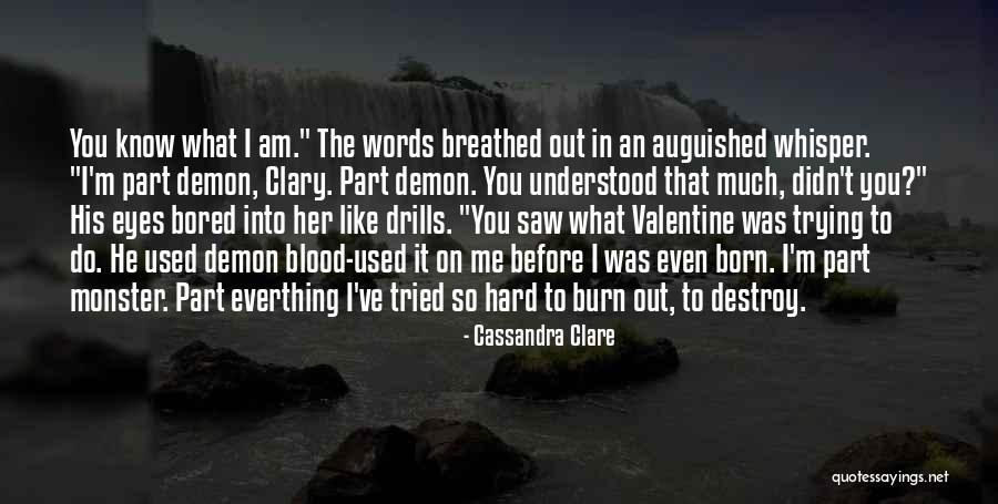 Know Before You Burn Quotes By Cassandra Clare Know Before You Burn Quotes By Cassandra Clare
