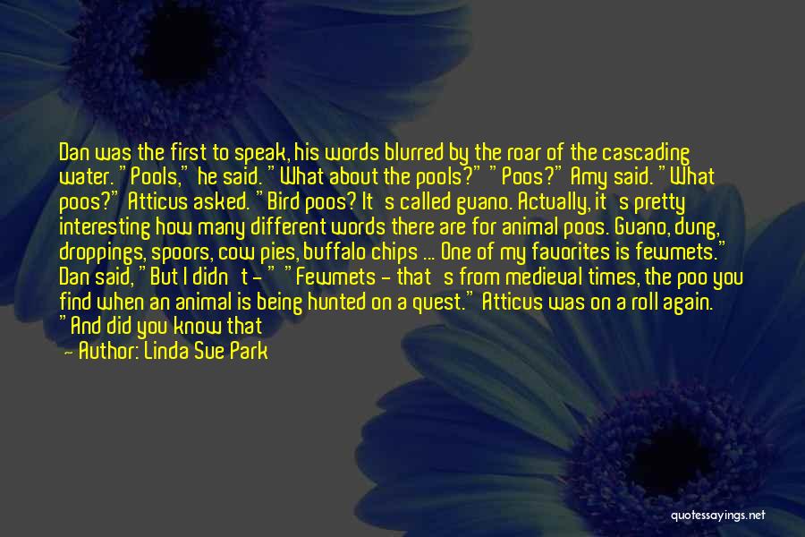 Know Before You Speak Quotes By Linda Sue Park Know Before You Speak Quotes By Linda Sue Park