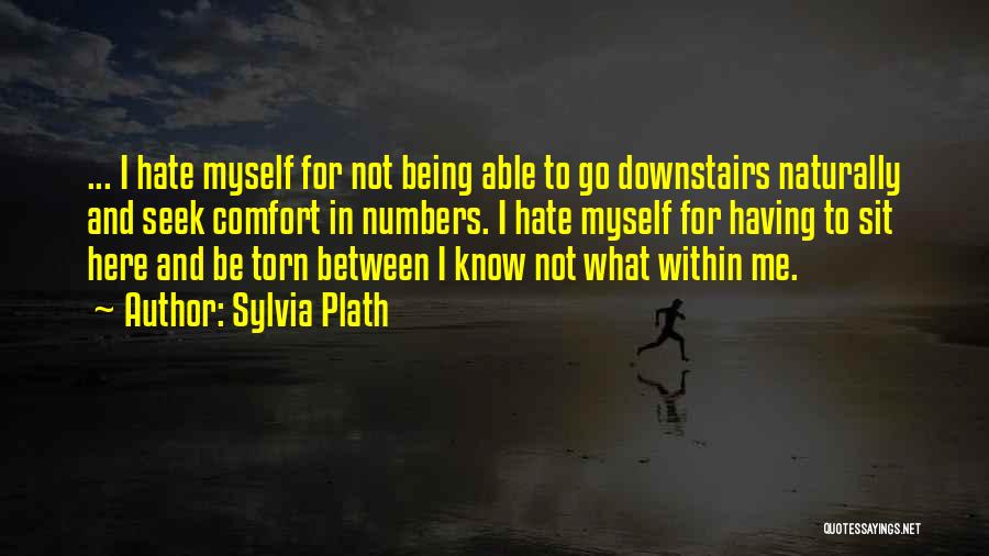 Know Having Quotes By Sylvia Plath