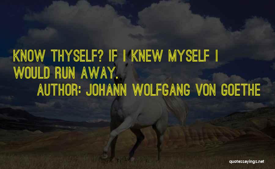 Know Thyself Quotes By Johann Wolfgang Von Goethe