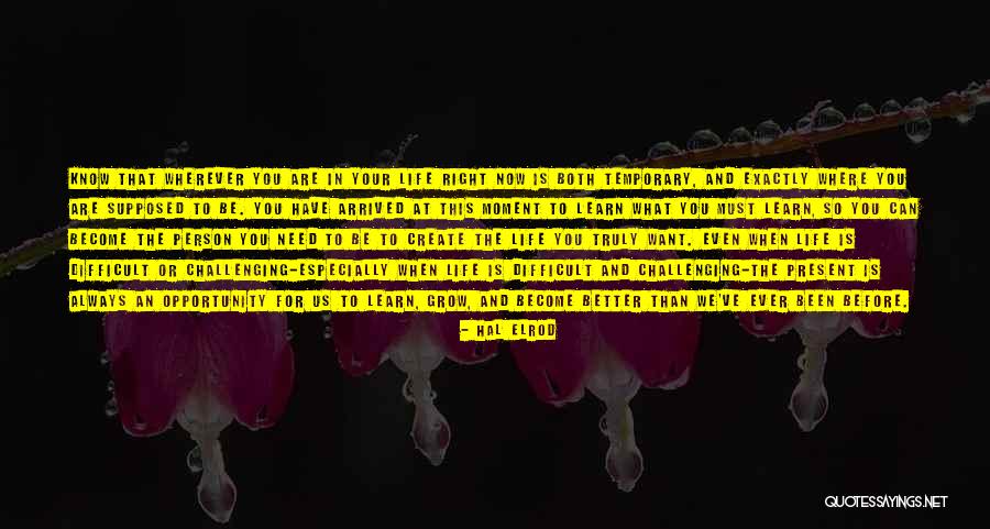 Know What We Need To Learn Quotes By Hal Elrod Know What We Need To Learn Quotes By Hal Elrod
