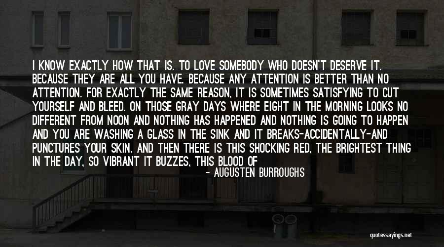 Know You Deserve Quotes By Augusten Burroughs