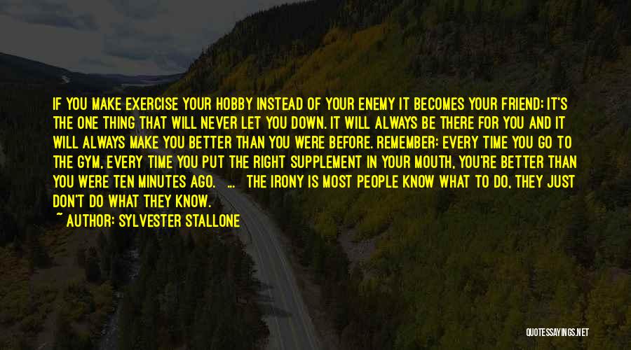 Know Your Enemy Quotes By Sylvester Stallone
