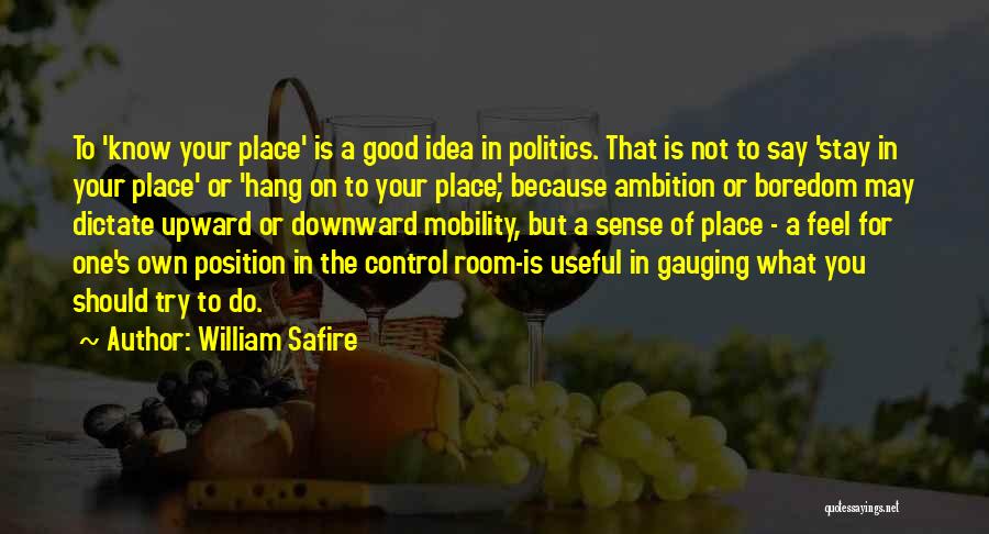 Know Your Position Quotes By William Safire
