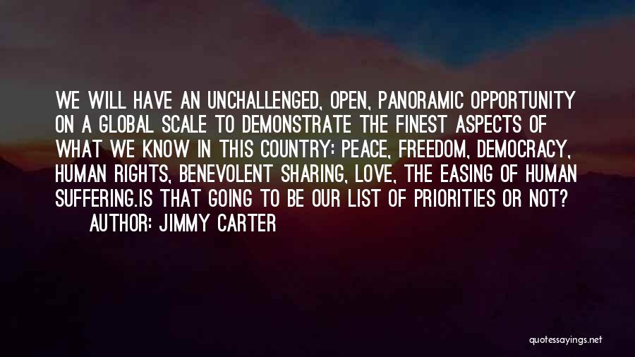 Know Your Priorities Quotes By Jimmy Carter