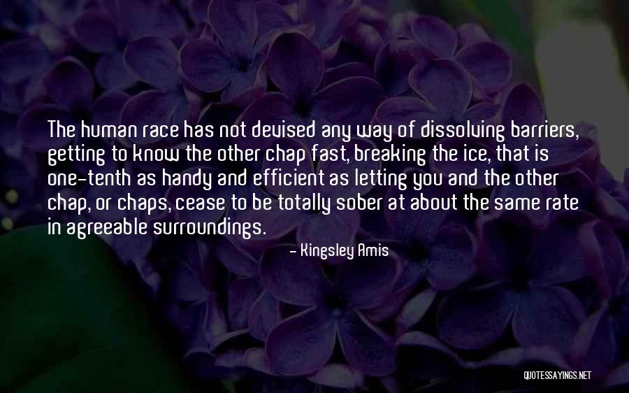 Know Your Surroundings Quotes By Kingsley Amis Know Your Surroundings Quotes By Kingsley Amis