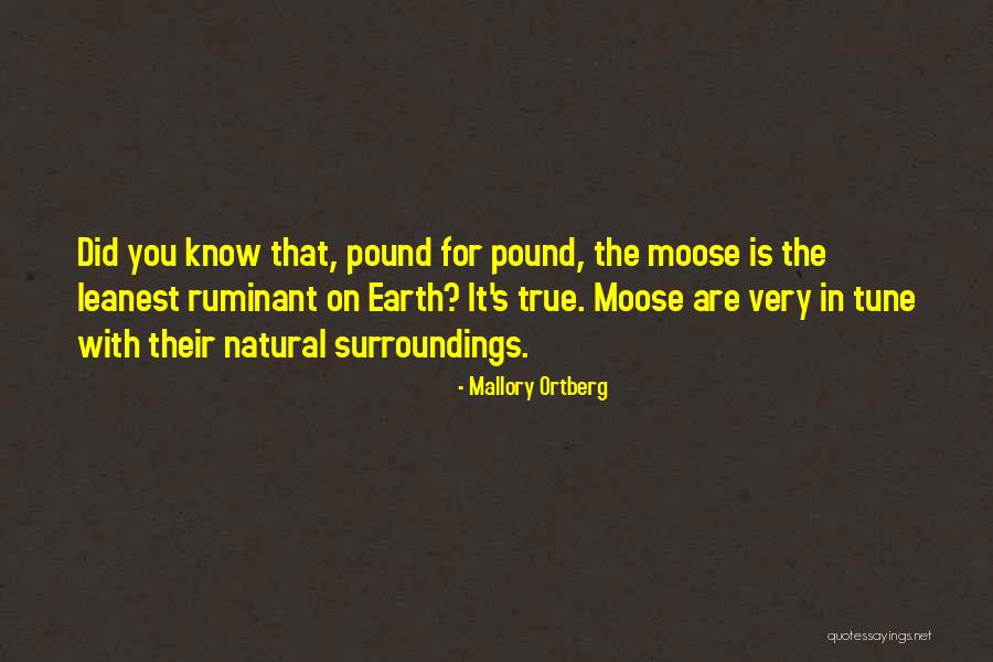Know Your Surroundings Quotes By Mallory Ortberg Know Your Surroundings Quotes By Mallory Ortberg
