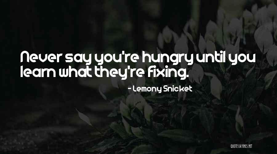 Knowesis Quotes By Lemony Snicket Knowesis Quotes By Lemony Snicket