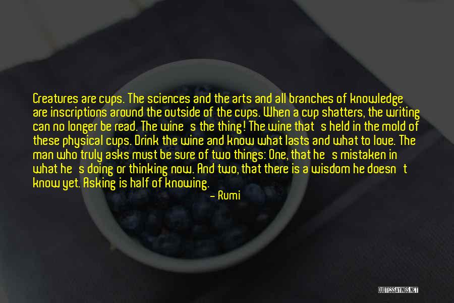 Knowing He Is The One Quotes By Rumi