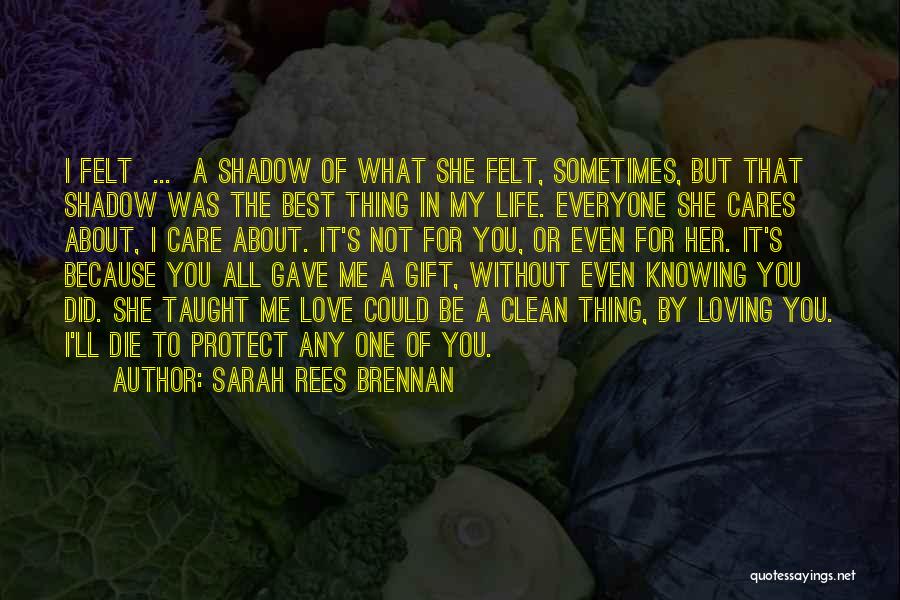 Knowing If Someone Cares Quotes By Sarah Rees Brennan