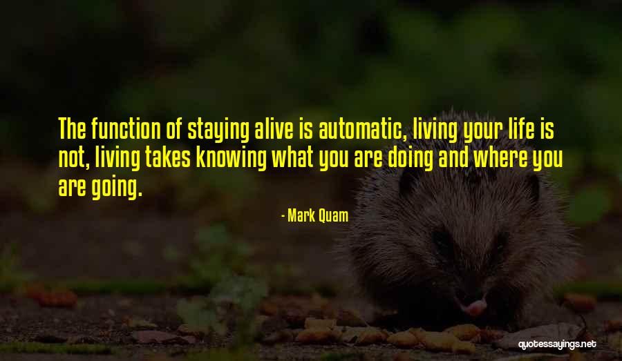 Knowing Is Not Doing Quotes By Mark Quam Knowing Is Not Doing Quotes By Mark Quam