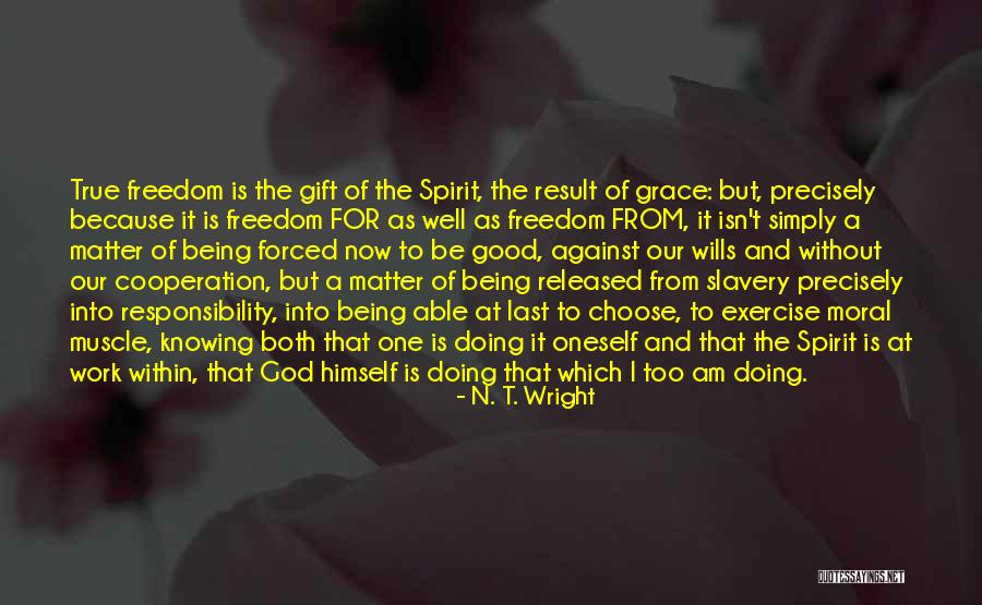 Knowing It Was Too Good To Be True Quotes By N. T. Wright