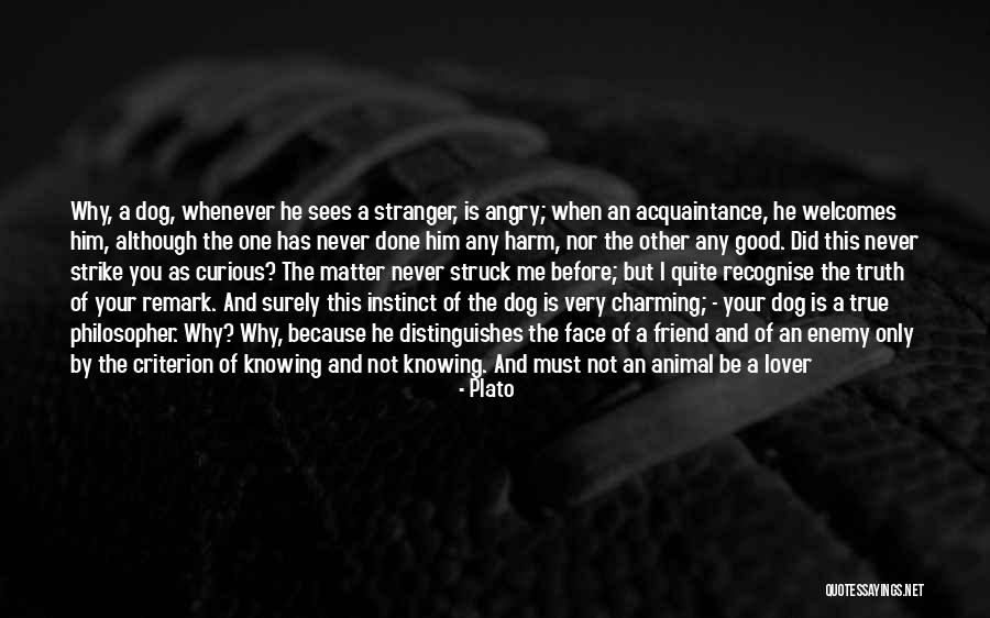 Knowing It Was Too Good To Be True Quotes By Plato