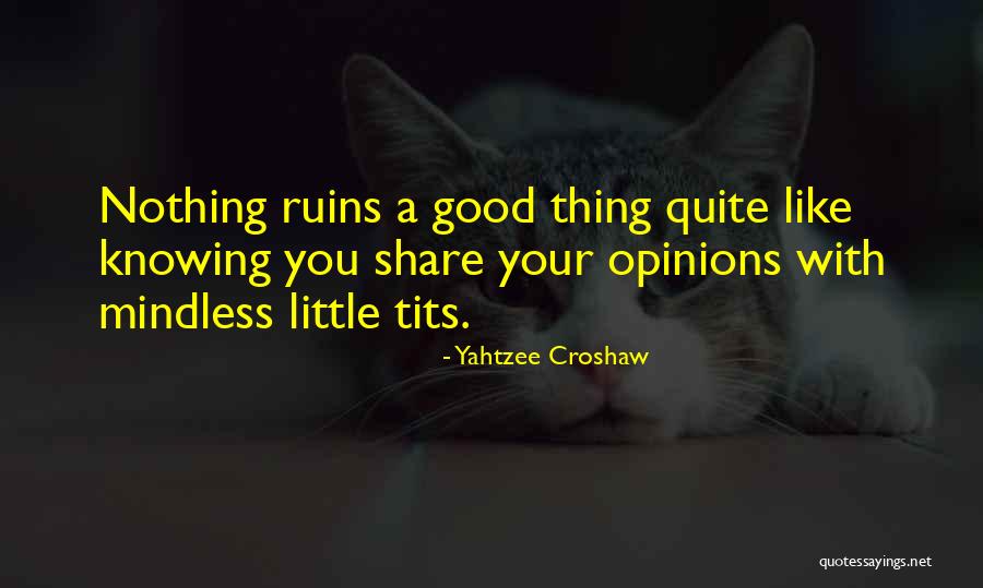 Knowing It Was Too Good To Be True Quotes By Yahtzee Croshaw