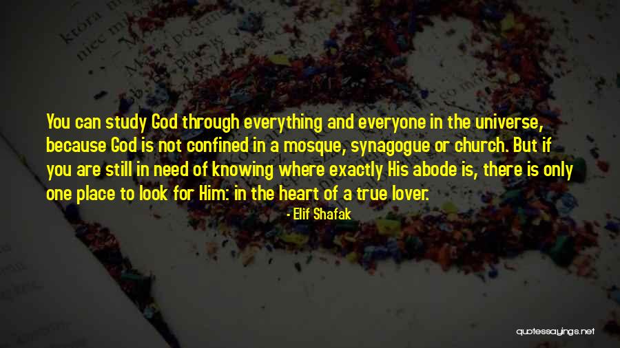 Knowing One's Place Quotes By Elif Shafak Knowing One's Place Quotes By Elif Shafak