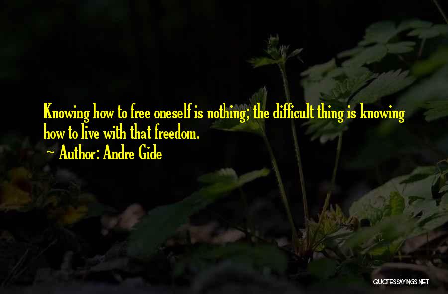 Knowing Oneself Quotes By Andre Gide