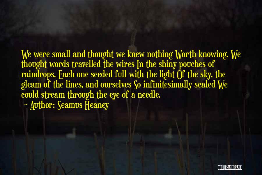 Knowing Ourselves Quotes By Seamus Heaney