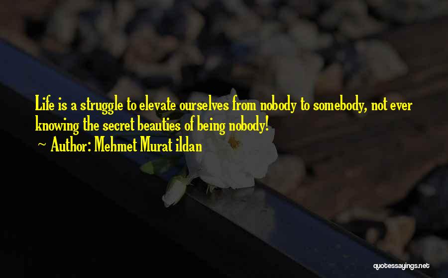 Knowing Somebody Quotes By Mehmet Murat Ildan