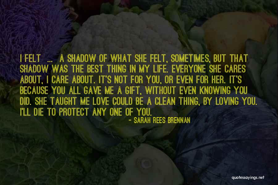 Knowing Someone Cares Quotes By Sarah Rees Brennan