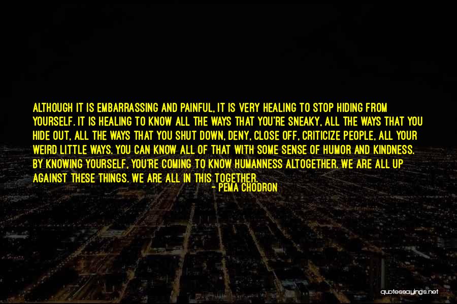 Knowing Someone Is Hiding Something From You Quotes By Pema Chodron