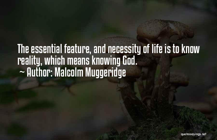 Knowing Someone Your Whole Life Quotes By Malcolm Muggeridge