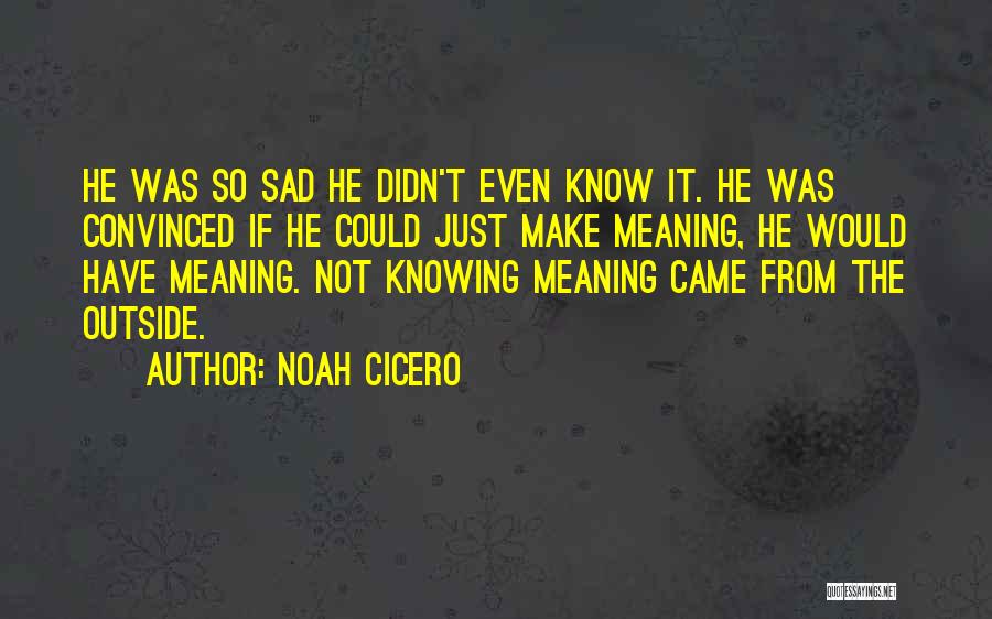 Knowing Something You Wish You Didn't Quotes By Noah Cicero