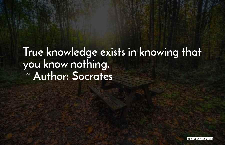 Knowing That You Know Nothing Quotes By Socrates