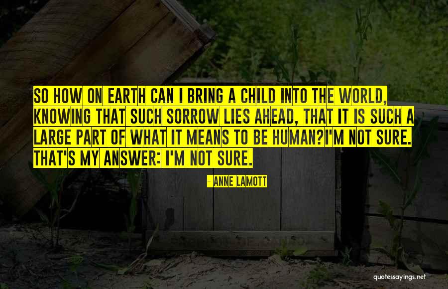 Knowing The Answer Quotes By Anne Lamott Knowing The Answer Quotes By Anne Lamott