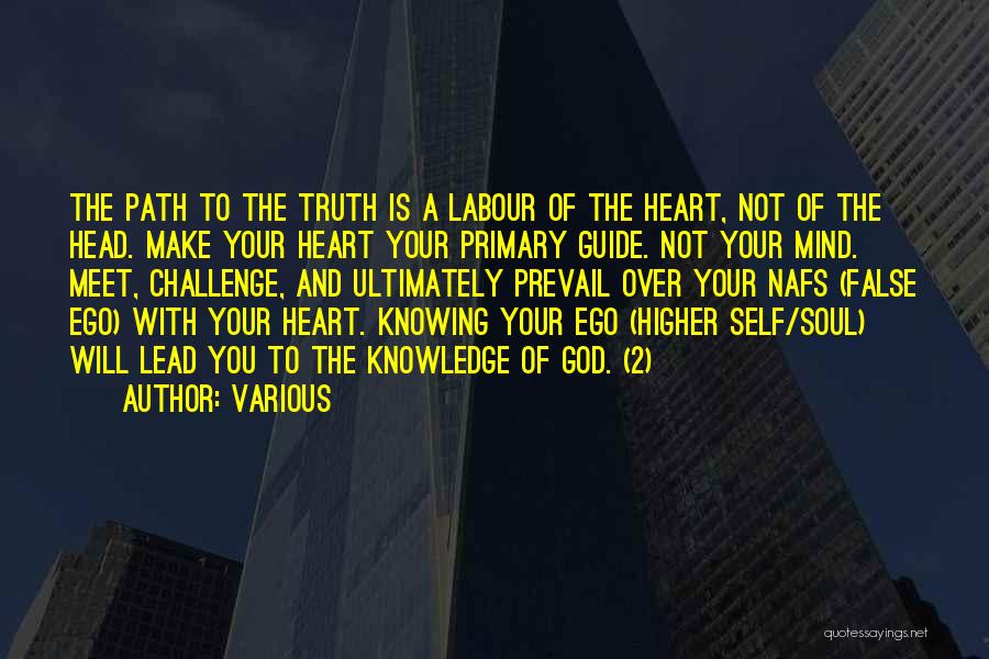 Knowing The Truth Quotes By Various