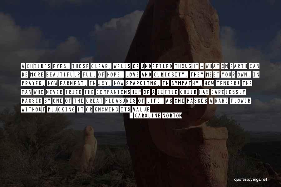 Knowing The Value Of Something Quotes By Caroline Norton Knowing The Value Of Something Quotes By Caroline Norton