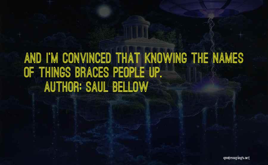 Knowing Things Quotes By Saul Bellow