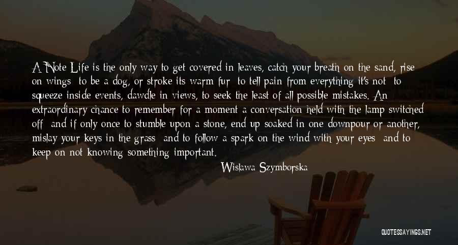 Knowing What Is Important In Life Quotes By Wislawa Szymborska Knowing What Is Important In Life Quotes By Wislawa Szymborska